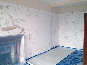 Qualified painters from JD Decors.