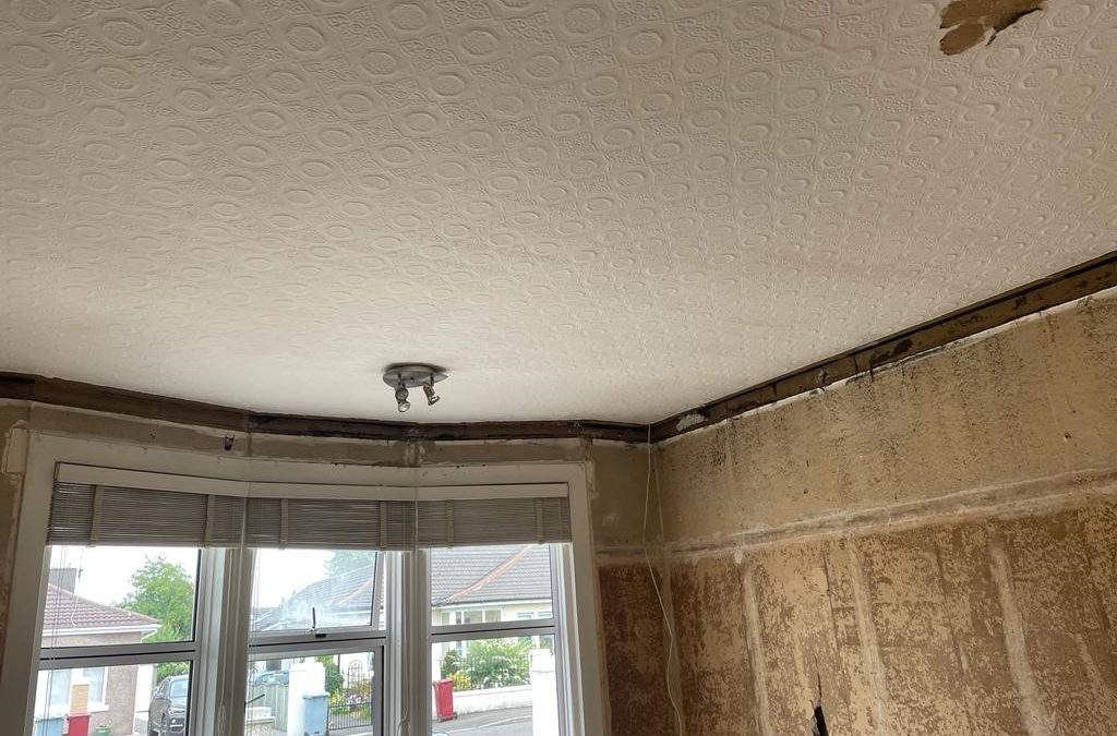 Cheap Plastering vs Quality Plastering: What Risks Are You Really Taking?